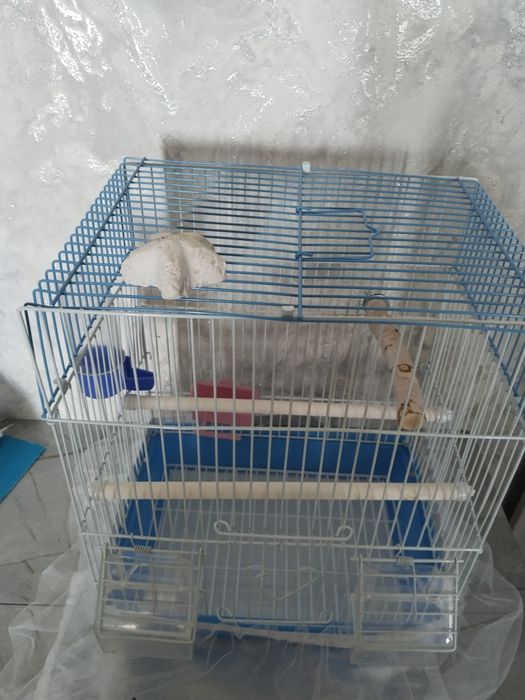 Продам клетку для птицы.