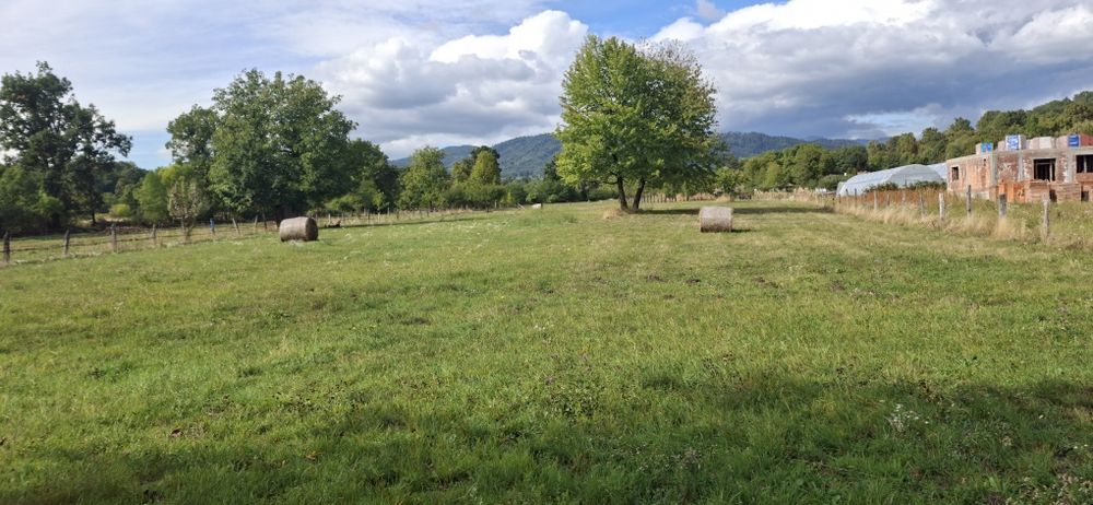 Teren de vanzare intravilan Bistra Muresului 4915 mp