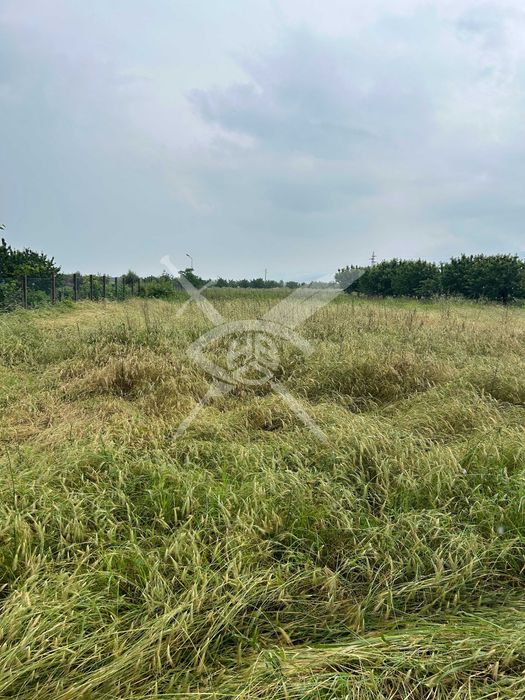 Парцел в с. Белащица 45450