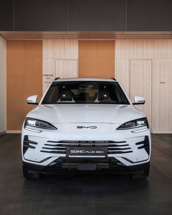 Byd champion 2026 хамма рангидан