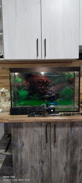 Продаются аквариум с крышкой