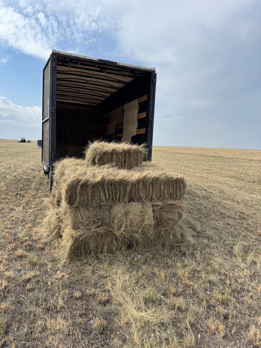 Сено в тюках с доставкой