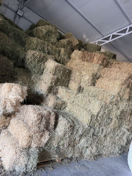 Vand baloti lucerna,cantitate mare