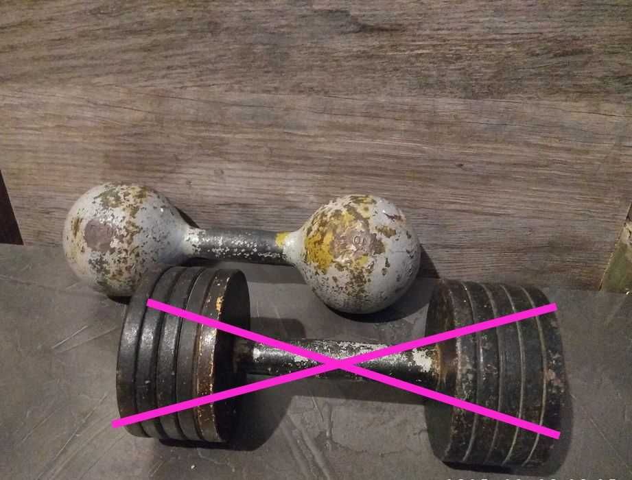 гантели 10кг (недорого)