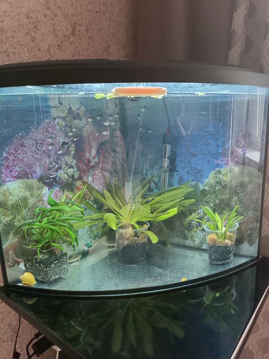 Аквариумы заводские