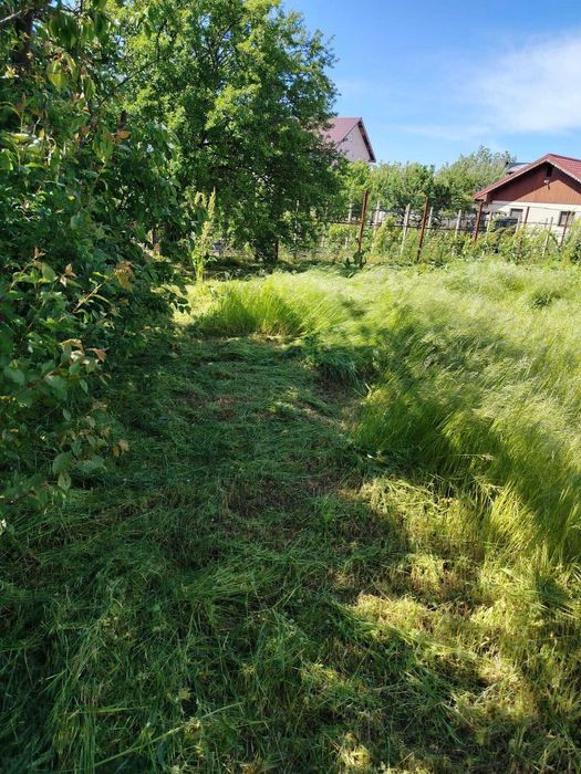 Servicii complete: Întreținere, Amenajări și Defrișări curți | Debarasare cu autoutilitară