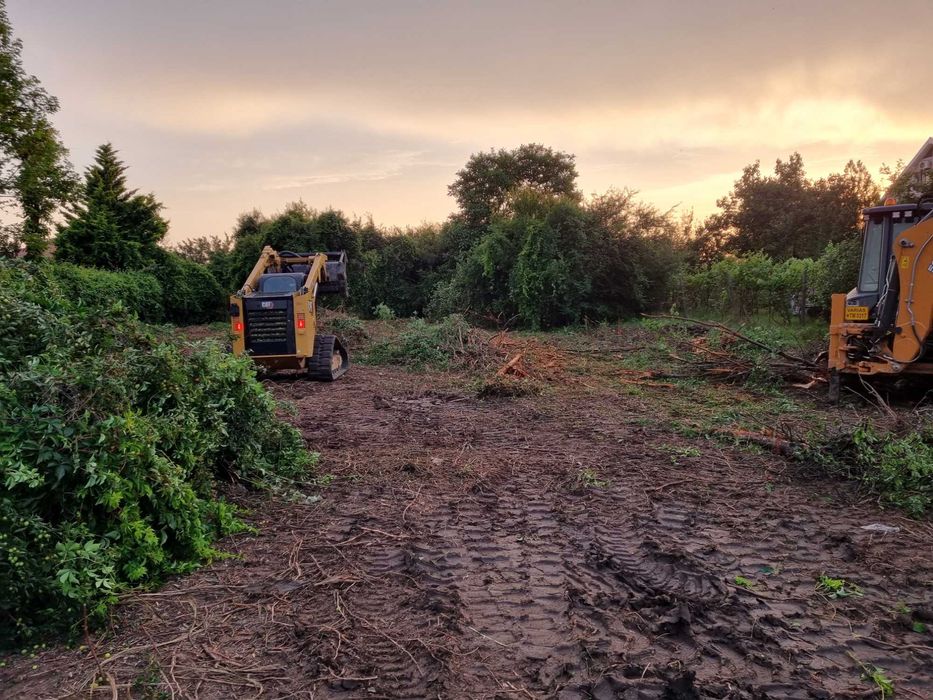 Curatare,defrisare teren, ploaia ajuta si la pret si la defrisare!