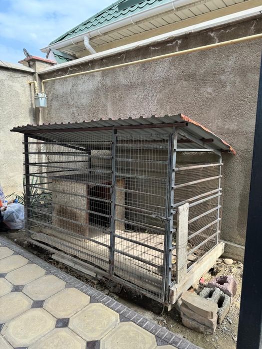 домики для собак