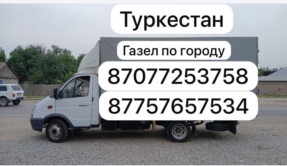 Газел по городу.