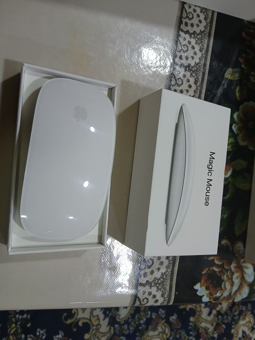 Megic mouse (Mishka )