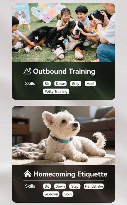 Автоматичен повод за куче – Здравина и сигурност