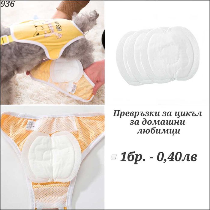 Наморник, адресник, нокторезачка, хигиенни гащи, яка за куче и котка.