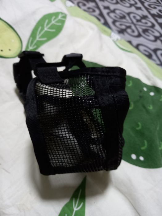 Намордник для мопса