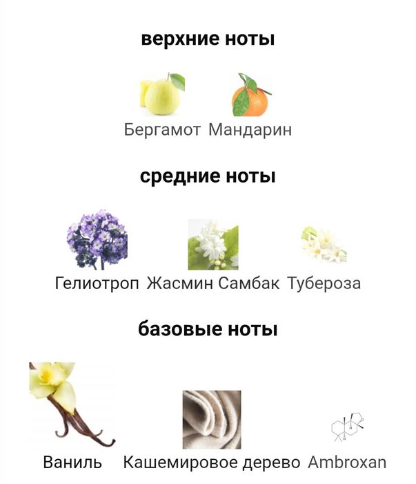 YSL Manifesto l'Elixir