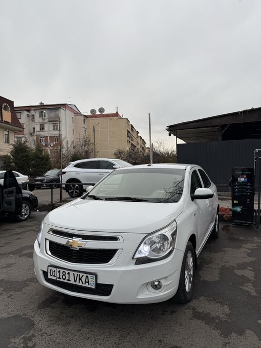 Cobalt 2024 gazi bor