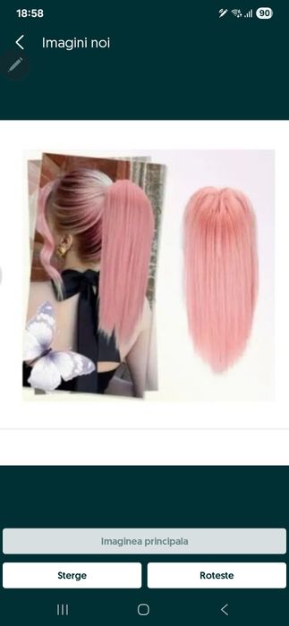 Coada par roz cu cleste