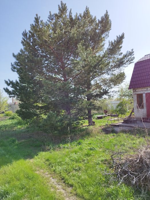 Продам дачу Акжар-2