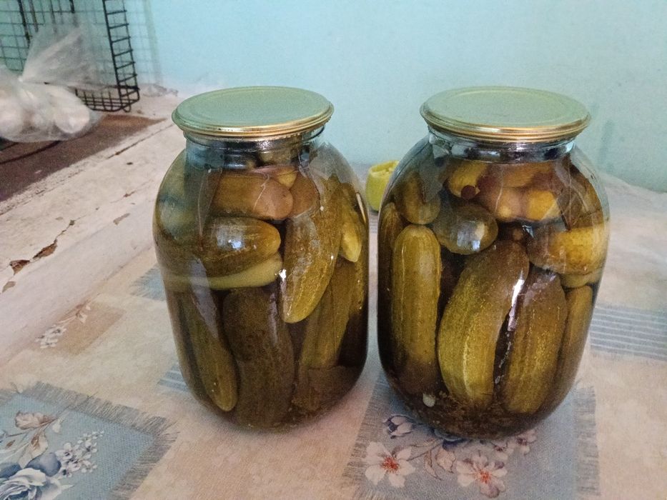 Огурцы соленые маринованные