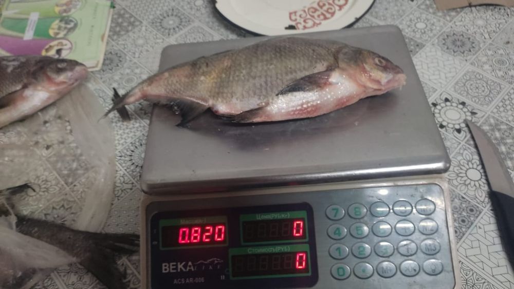 Продаем Лещ 450-900 гр