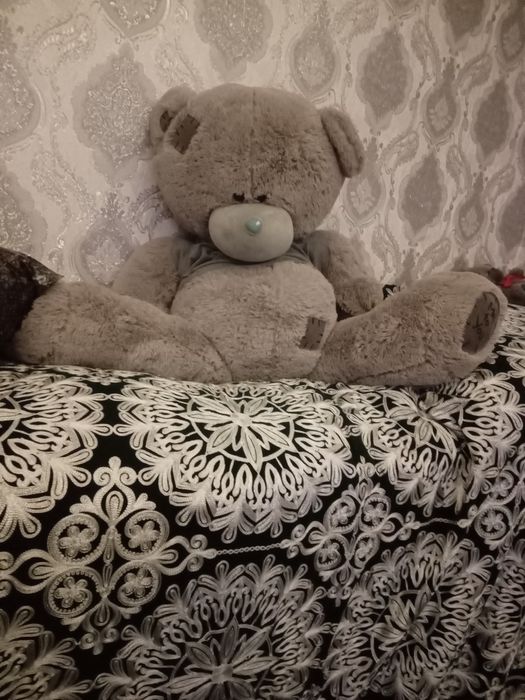 Tediy  ayig'  katkon