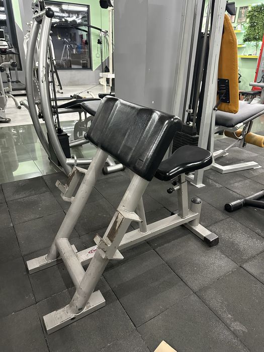 Скот пейка на Паната