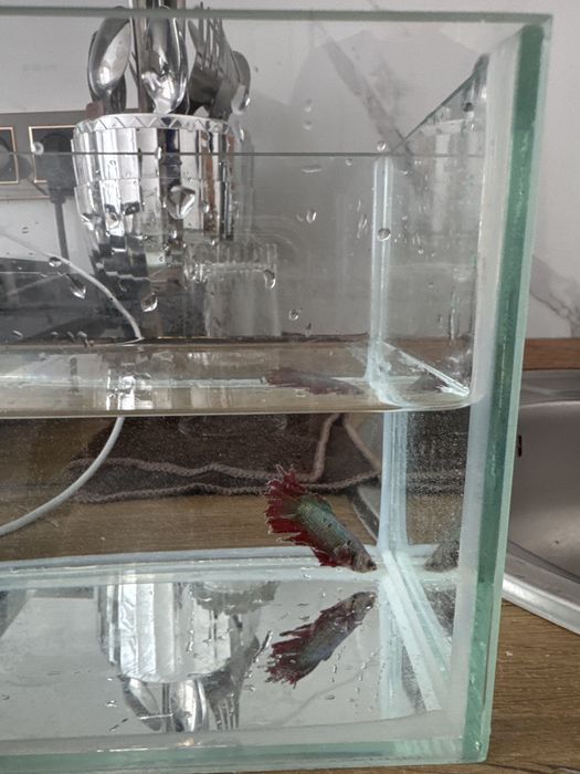 Продам аквариум с рыбкой