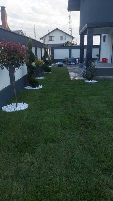Instalare Gazon Rulou – Profesionalism și Calitate