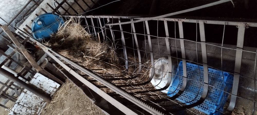 Койга шоп салатын астау