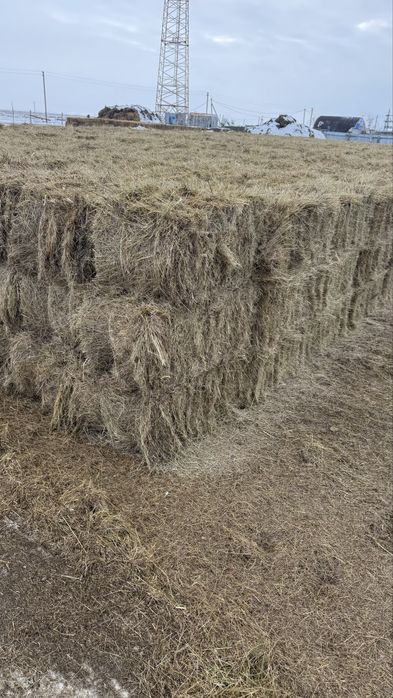 Продаю сено хорошего качества