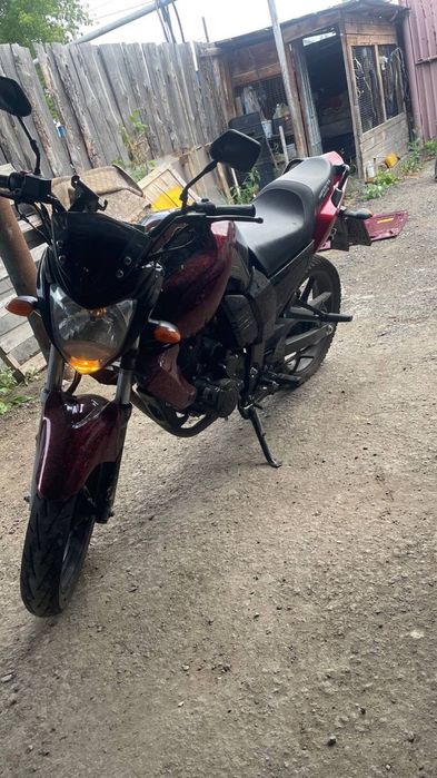 Racer nitro 250 pro