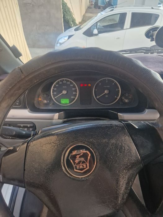 Gazel satiladi 5 metirlik