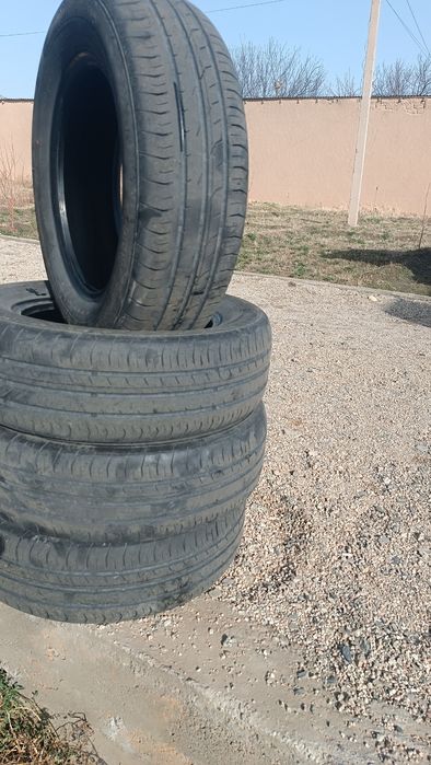 Cobalt radnoy balonlari