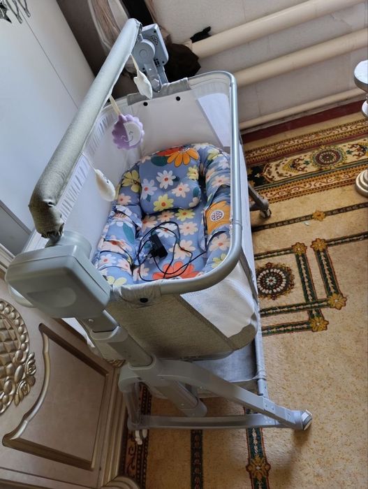 Elektronik Belanchak