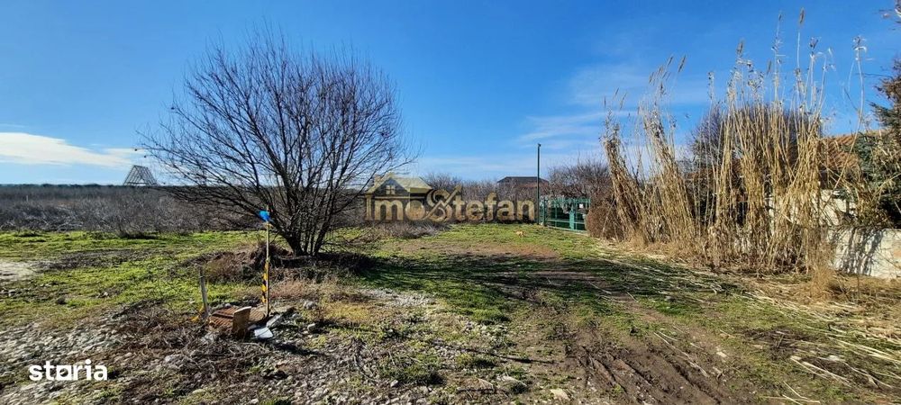 Teren Intravilan Vama Veche | 7.495 mp | Oportunitate Investiție