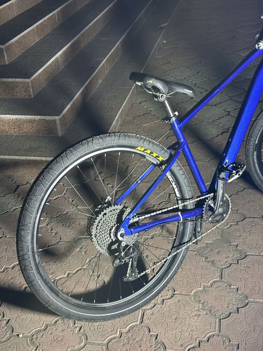 Trinx l1000 pro мускари цвет