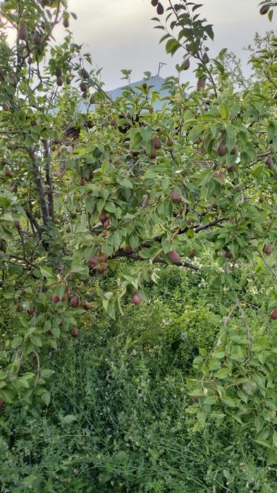 Продается дом .Тогай 3