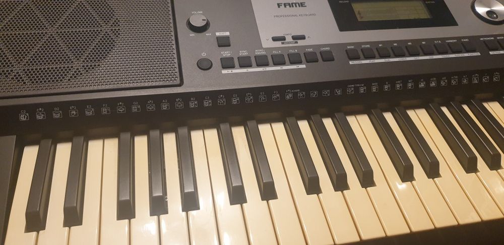 Orga electronica Fame G300