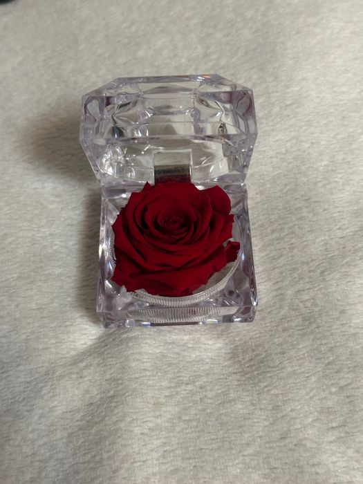 Вечна роза в стъклена кутия