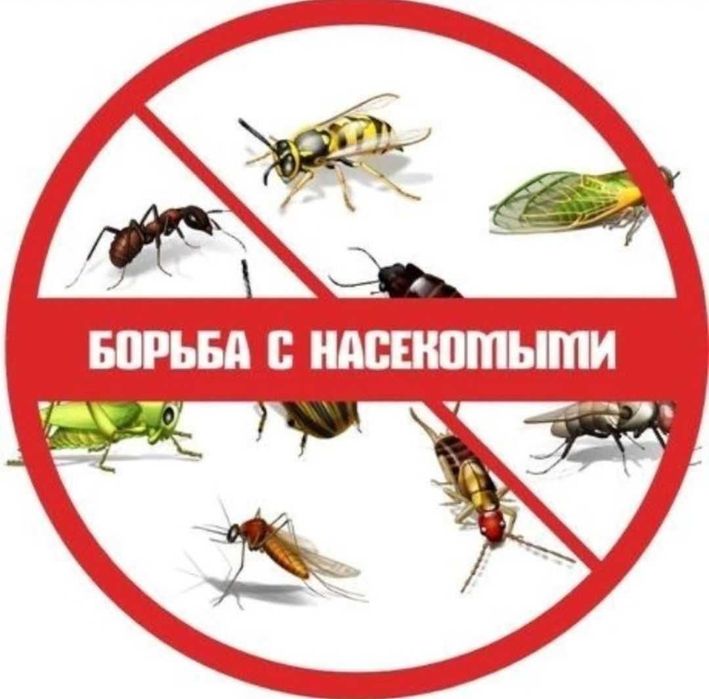 DEZINFEKSIYA Dizenfeksiya ДЕЗИНФЕКЦИЯ Дизенфекция Dizinfeksiya