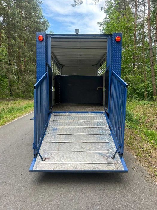 Transport animale vii – Autorizat DSVSA
