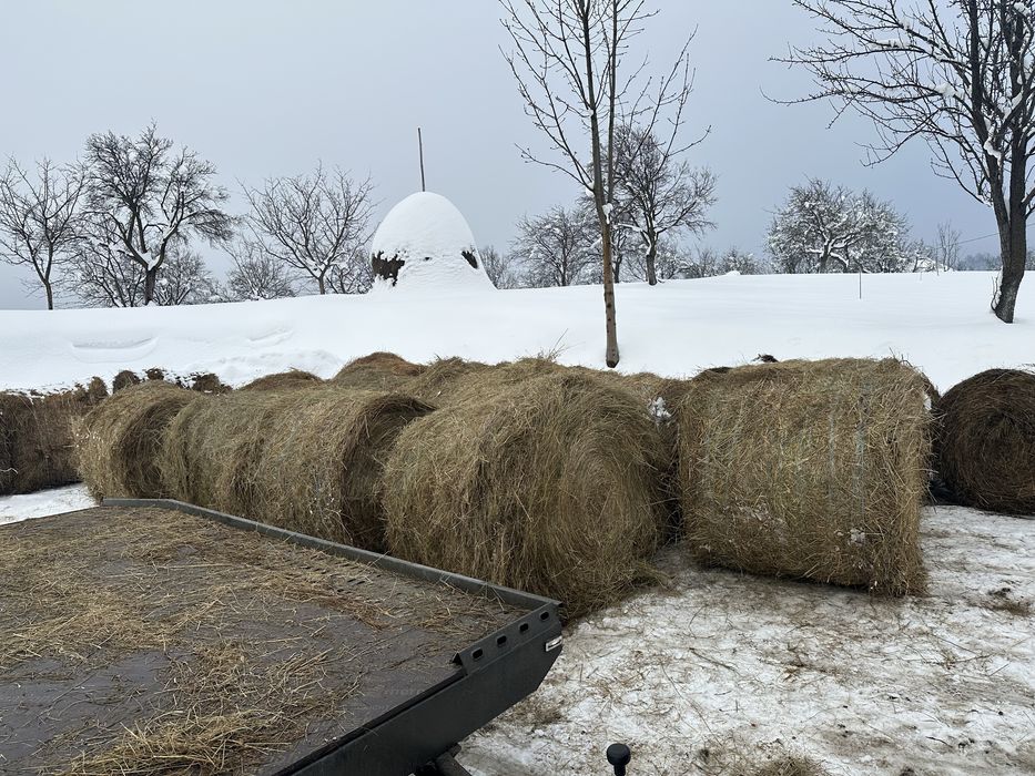 Baloti de fan 120x120