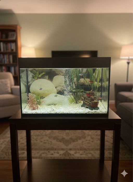 Аквариум в наличии