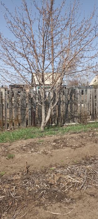 Продам дачу в Цветущем саду