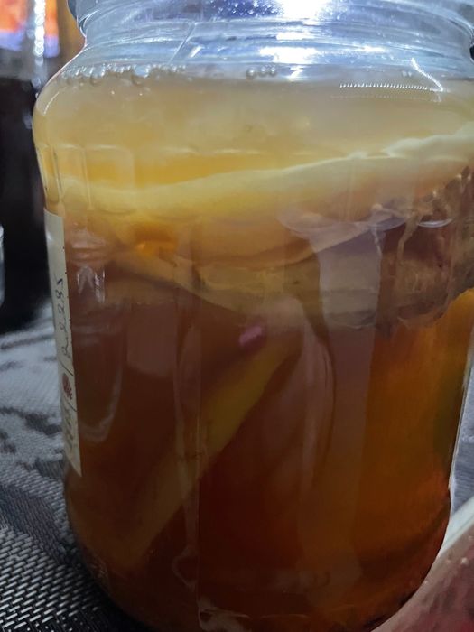 Kombucha ciupercă +starterul