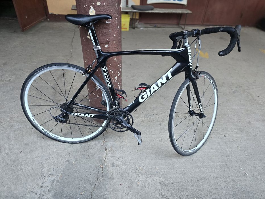 Cursiera Giant Carbon