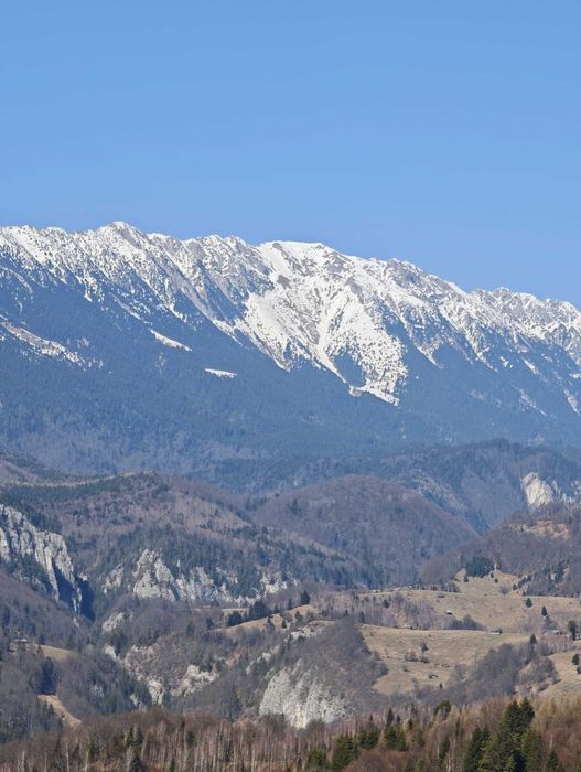 Teren de vanzare