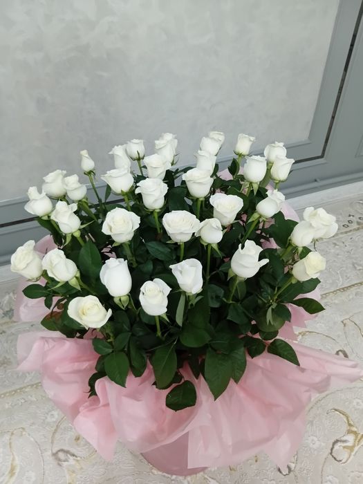 Продам цветы разы