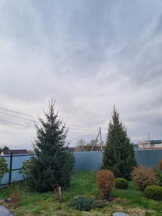 Продать участок в Тепличном