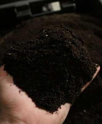 Biogumus Vermikompost BIOFET