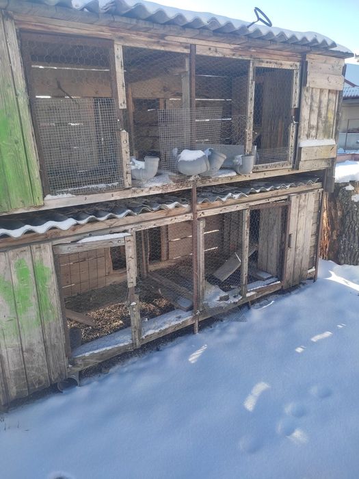 Cuști iepuri  schelet metalic